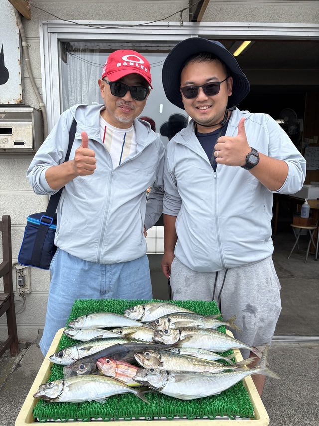 アジ(マアジ)