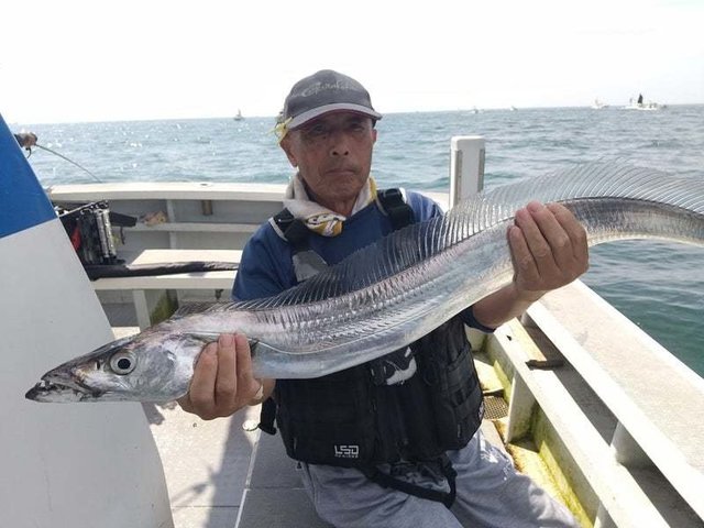 タチウオ