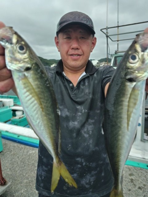 アジ(マアジ)