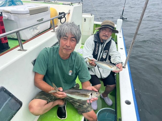 アジ(マアジ)