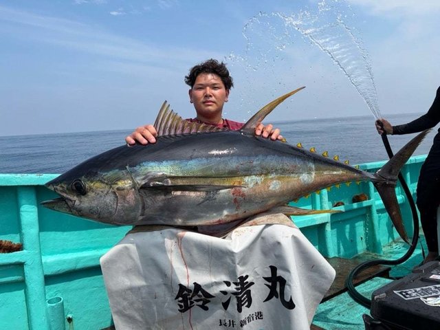 キハダ