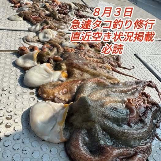 マダコ