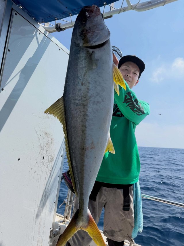 ヒラマサ