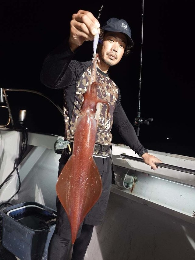 ケンサキイカ