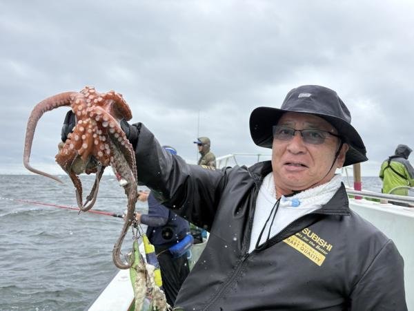 マダコ