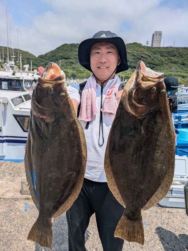 ヒラメ