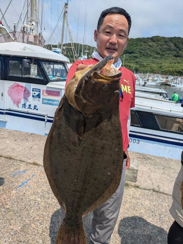 ヒラメ