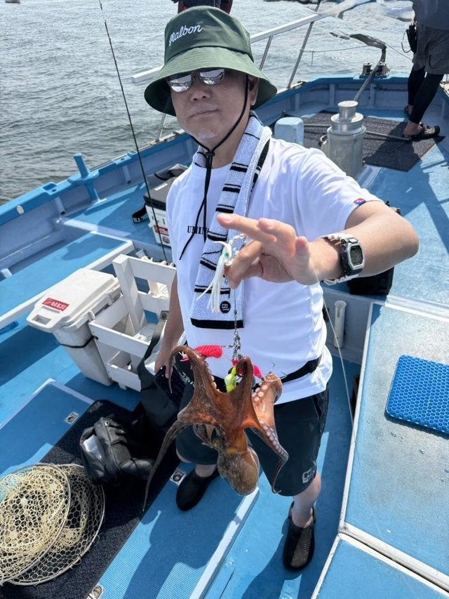 マダコ