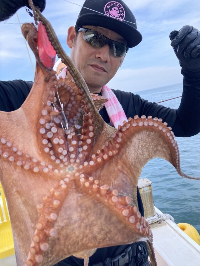 タコ(マダコ)