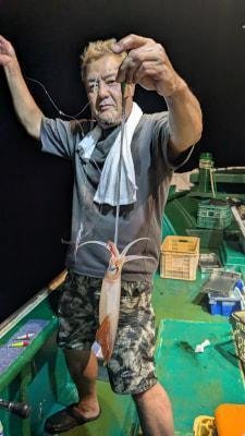 スルメイカ