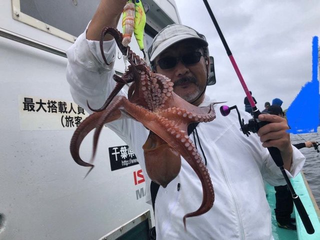 タコ(マダコ)