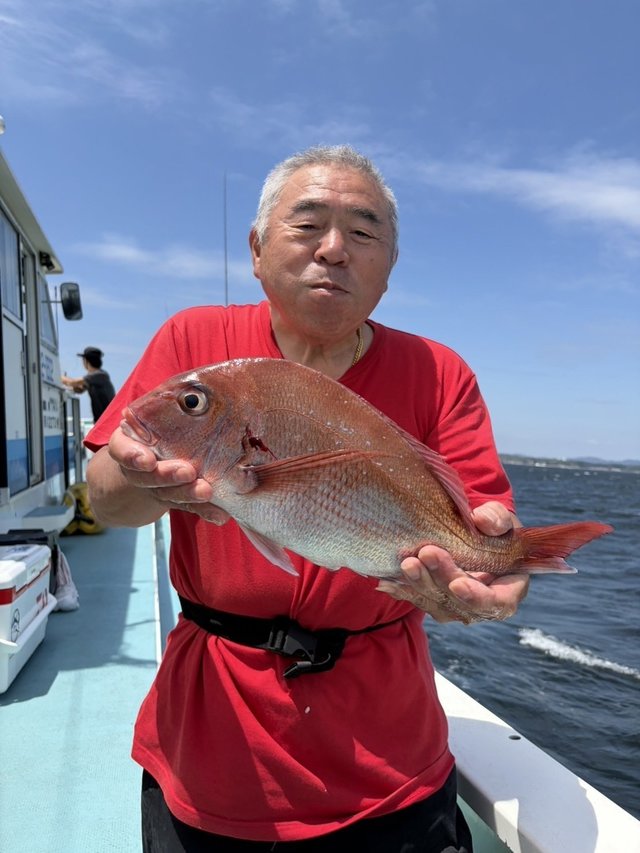 マダイ
