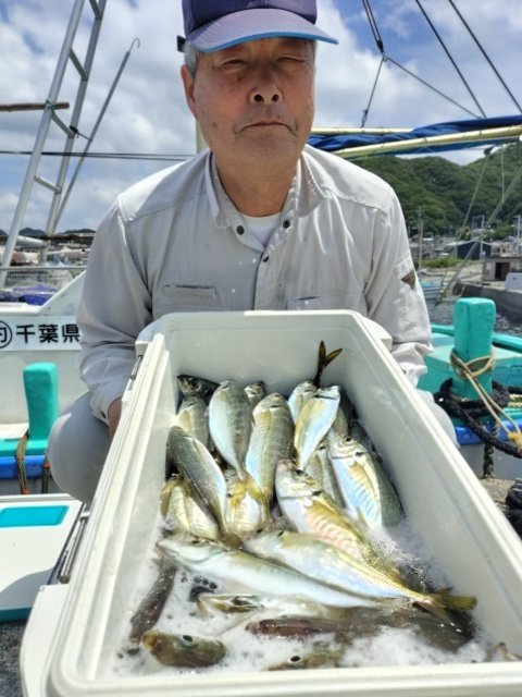 アジ(マアジ)