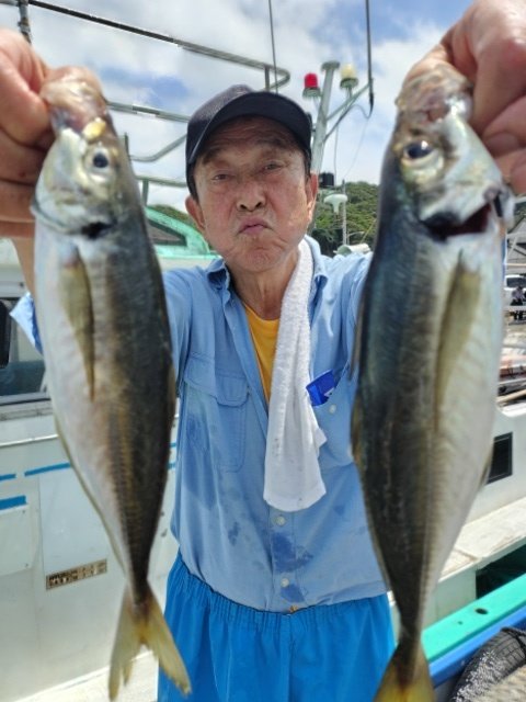 アジ(マアジ)