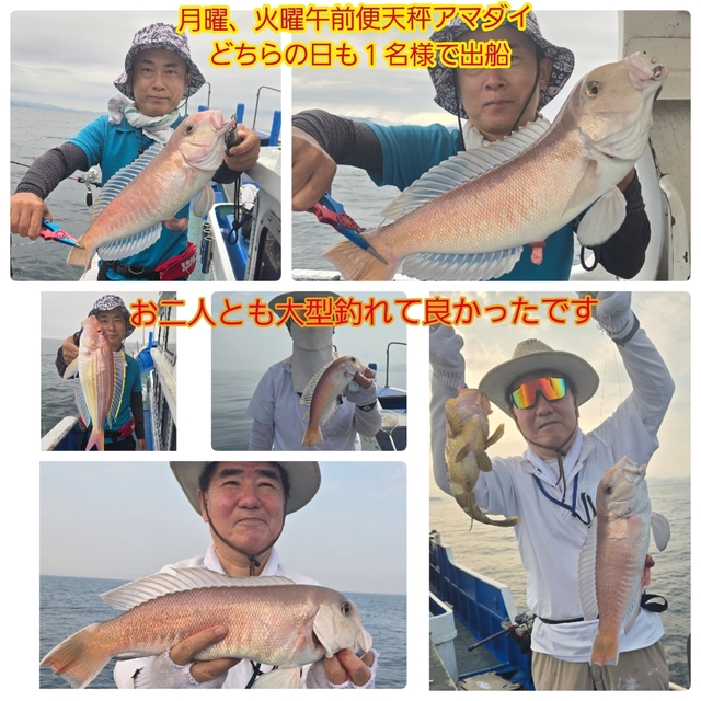 シロアマダイ