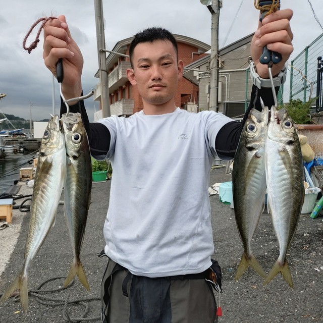 アジ(マアジ)