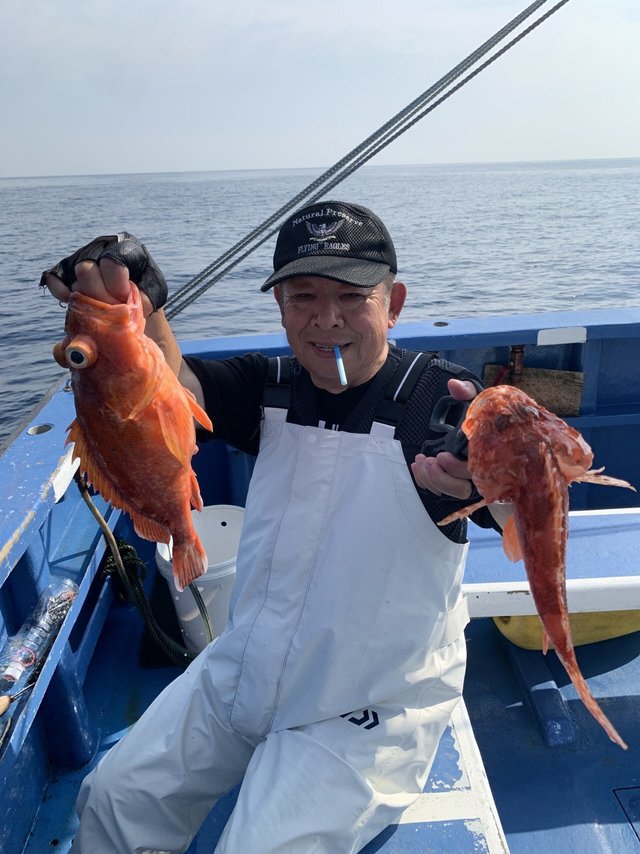 オニカサゴ・ウッカリカサゴ