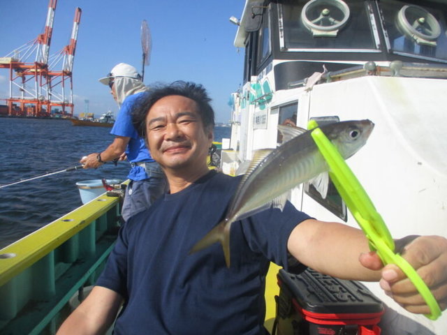 アジ(マアジ)
