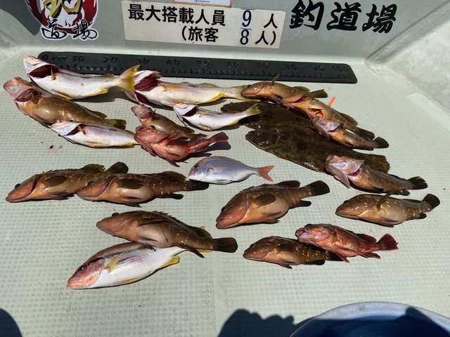 キジハタ