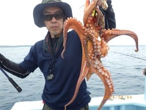 タコ(マダコ)