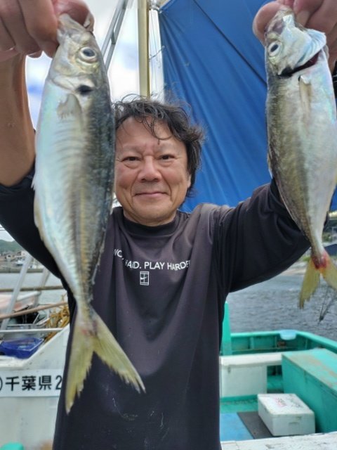アジ(マアジ)