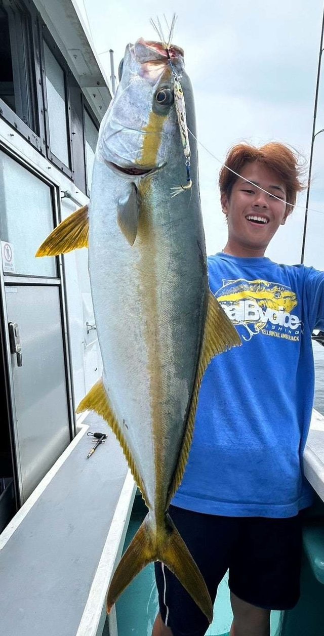 ヒラマサ