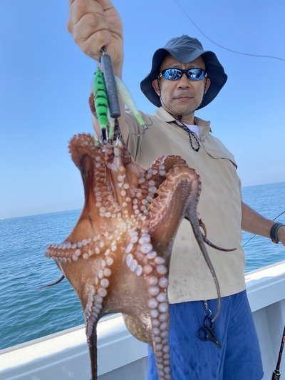 タコ(マダコ)
