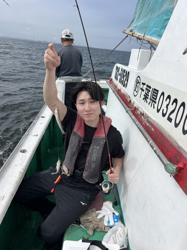 シロギス