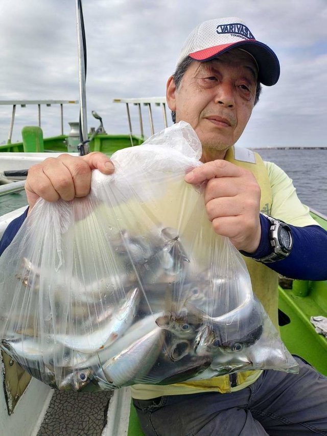 アジ(マアジ)