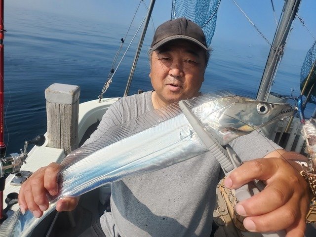 タチウオ