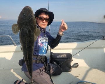 マゴチ