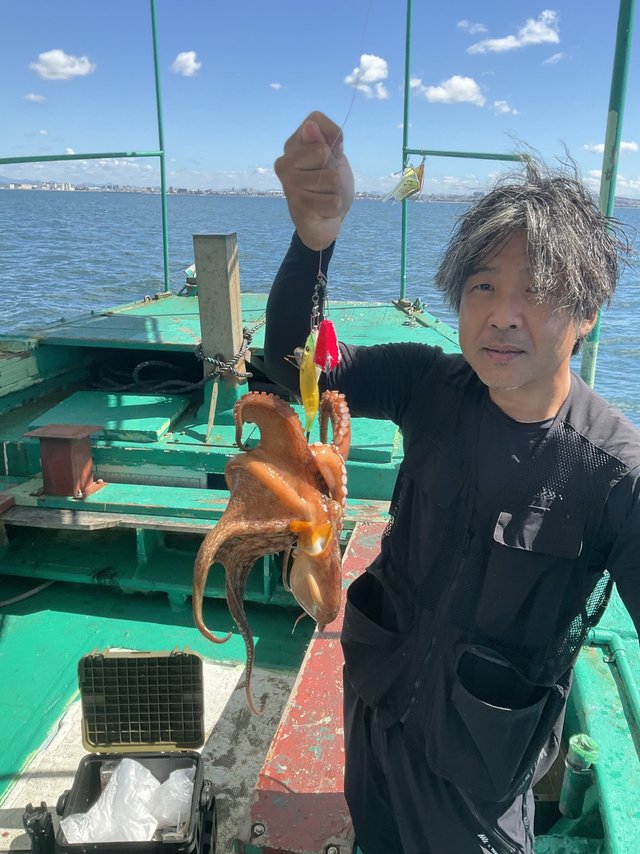 マダコ