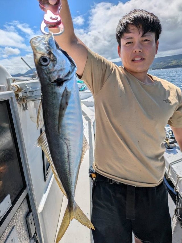 アジ(マアジ)