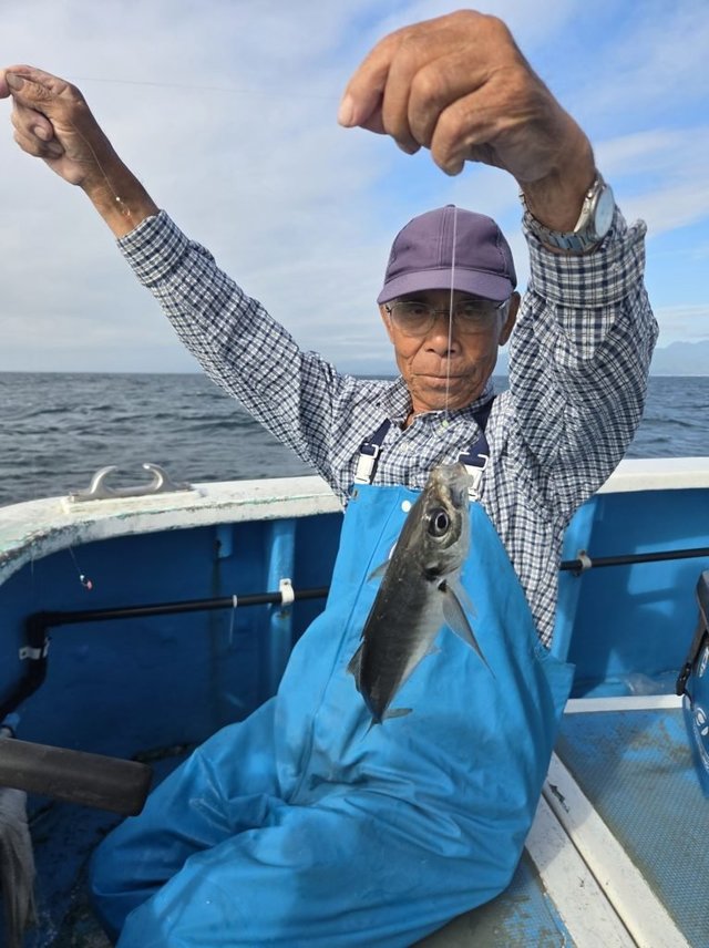 アジ(マアジ)