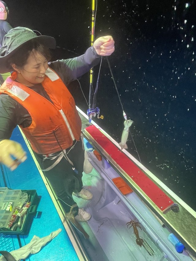 スルメイカ