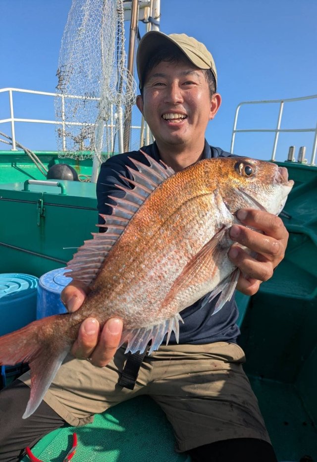 マダイ