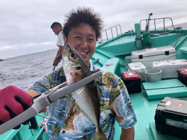 アジ(マアジ)