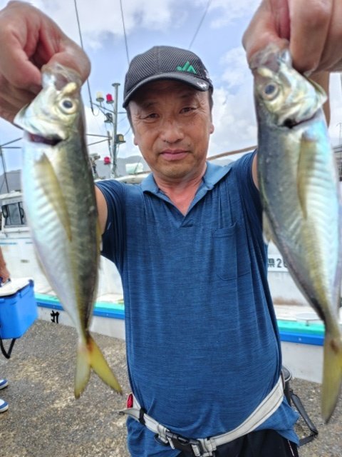 アジ(マアジ)