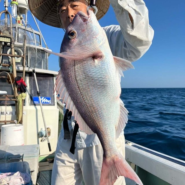 マダイ