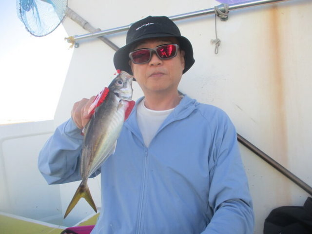 アジ(マアジ)