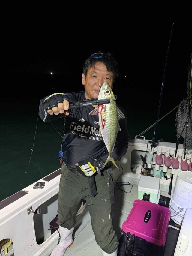 アジ(マアジ)