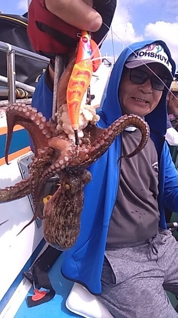マダコ