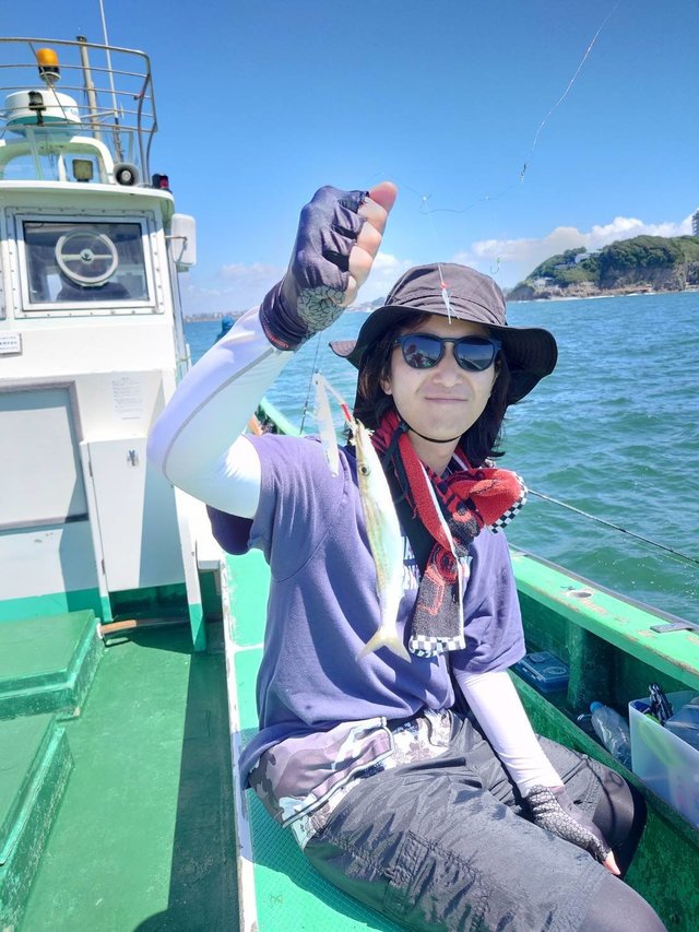 カマス(アカカマス)