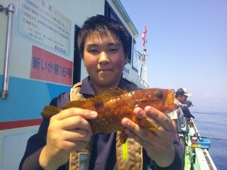 キジハタ