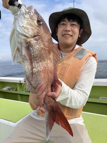 マダイ