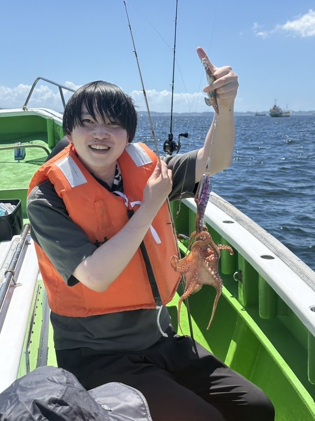 マダコ