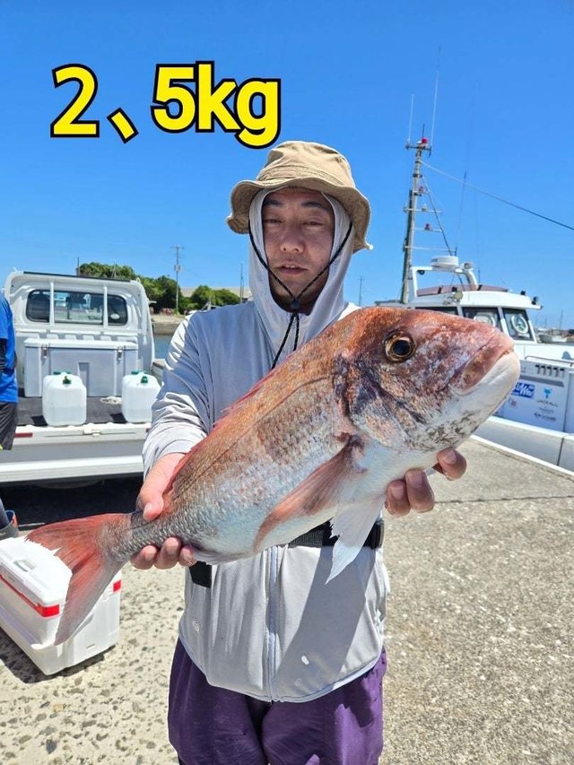 マダイ