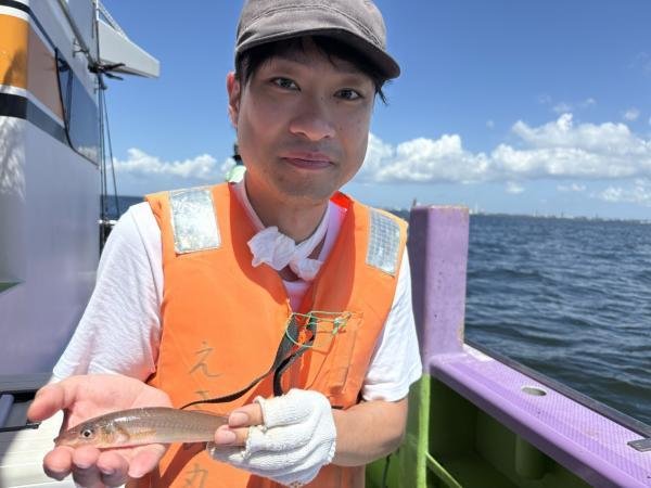 シロギス