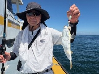 ショウサイフグ