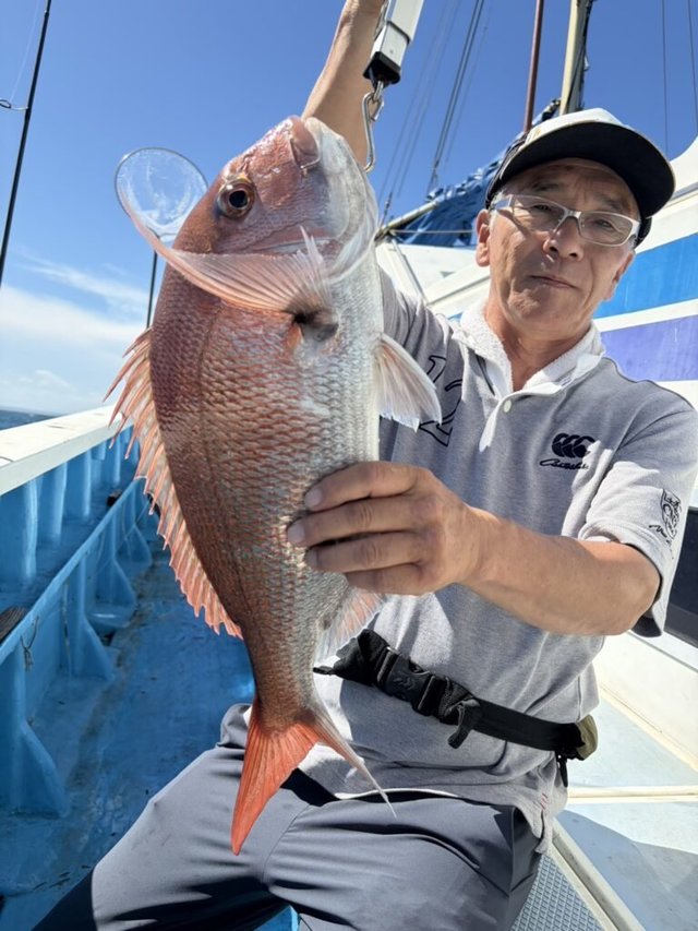 マダイ